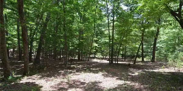 354 Lake View Trace