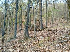 4544 Sassafras Court Lot 4544