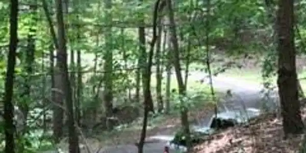 00 Sharp Top Mountain Trail