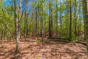 Lot 55 Camp Branch Branch