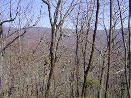 6 A Buckeye Trail, Jasper GA 30143