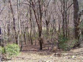 2217 Mulligan Way, Jasper GA 30143