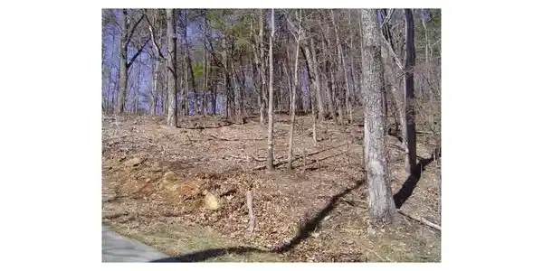 1546 Moss Patch Trail, Jasper GA 30143