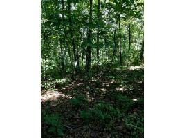 1057 MAYFIELD Lot 1057