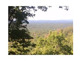 113 ADAIR Drive Lot 113