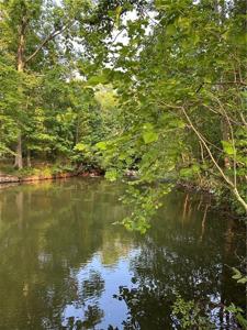 Lot 5 County Road 520