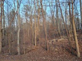 179 HILLSIDE Drive