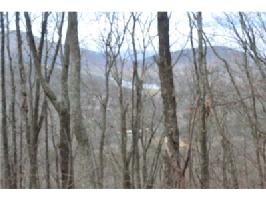 0 Cox Mountain Road Lot 8262