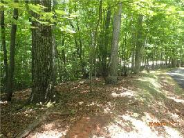 6127 Fire Pink Lane Lot 6127