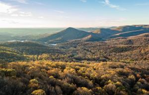 5198 Chestnut Cove Trail Trail