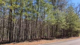 3289 Wood Poppy View