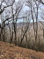 Lot 281 HIGH TRAIL VISTA Circle