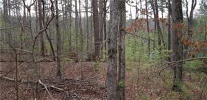 9 Bear Creek Drive