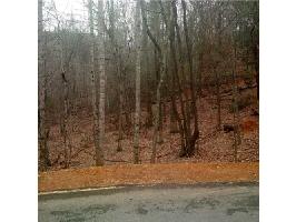 1010 Quail Cove Drive Lot 1010