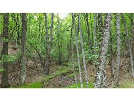1178 Quail Cove Drive Lot 1178