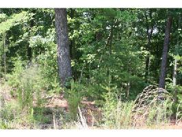3270 Red Trillium Ridge Lot 3270
