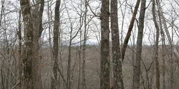 1 Grandview Trail