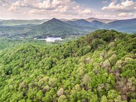 72.69 acres Hickory Cove Road