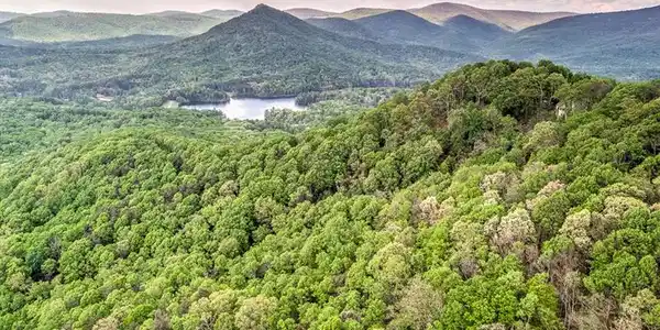 72.69 acres Hickory Cove Road