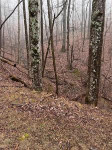 Lot 3364 Crippled Oak Trail