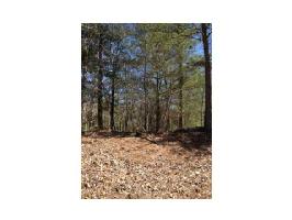 786 WOODBINE Lane Lot 786
