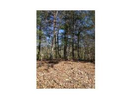 787 WOODBINE Lane Lot 787