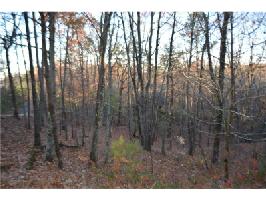 2784 Summit Drive Lot 2784