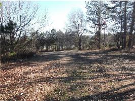 Lot 049 Trickum Road