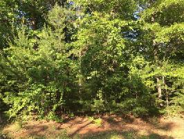265 Red Trillium Ridge Lot 3264