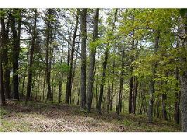Lt 604 Corner Oak Court Lot 604