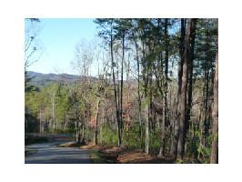 3566 Blazingstar Trail Lot 3566