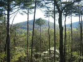 2653 Sconti View Drive Lot 2653