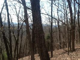 60 Eagle Way Lot 3089