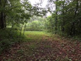 9 LOWER SASSAFRAS MOUNTAIN Parkway