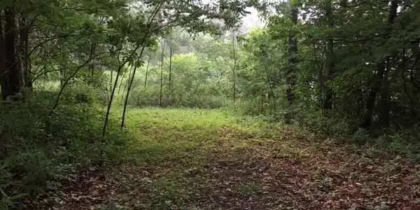 9 LOWER SASSAFRAS MOUNTAIN Parkway