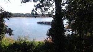 View Point