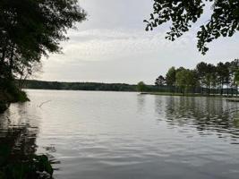 1381 Grayson Pointe Drive