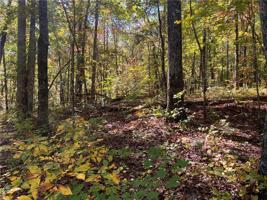Lot 273 N Harris Creek Drive