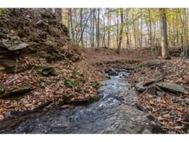 3591 Cool Springs Court