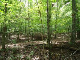 Lot 14 Shirey Road