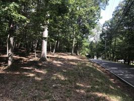 Lot 246 Denny Ridge Road