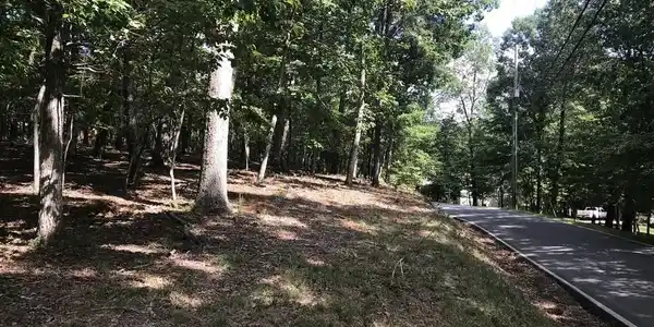 Lot 246 Denny Ridge Road