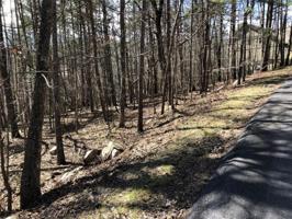 121 Blue Fox Loop