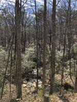 158 Indian Oak Drive