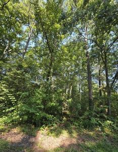 34-37 County Road 249