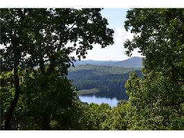 114 Mole Mountain Court Lot 2964