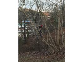 918 Lake Arrowhead Drive Lot 92