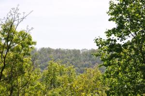 319 Buck Skull Ridge Road