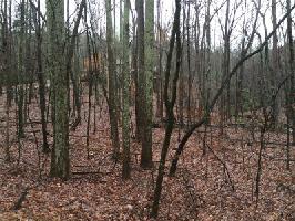 9001 Hunters Trace