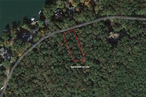 137 Douglas Fir